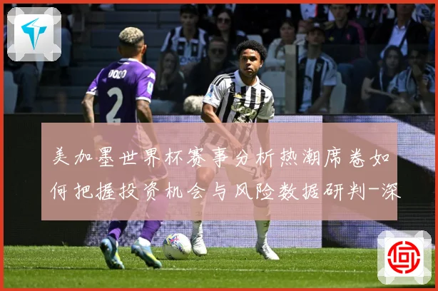 美加墨世界杯赛事分析热潮席卷如何把握投资机会与风险数据研判-深度解析